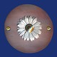 Kupfer Klingelschild mit Blume Außen-Durchmesser ca. 100 mm