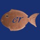 Fisch Türschild "Fischer" aus Kupfer, zum Ankleben